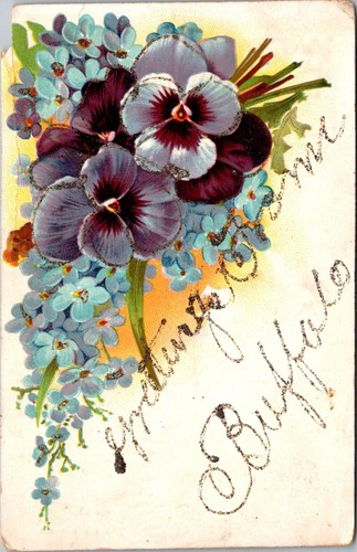 Greetings from buffalo - greetings, ny